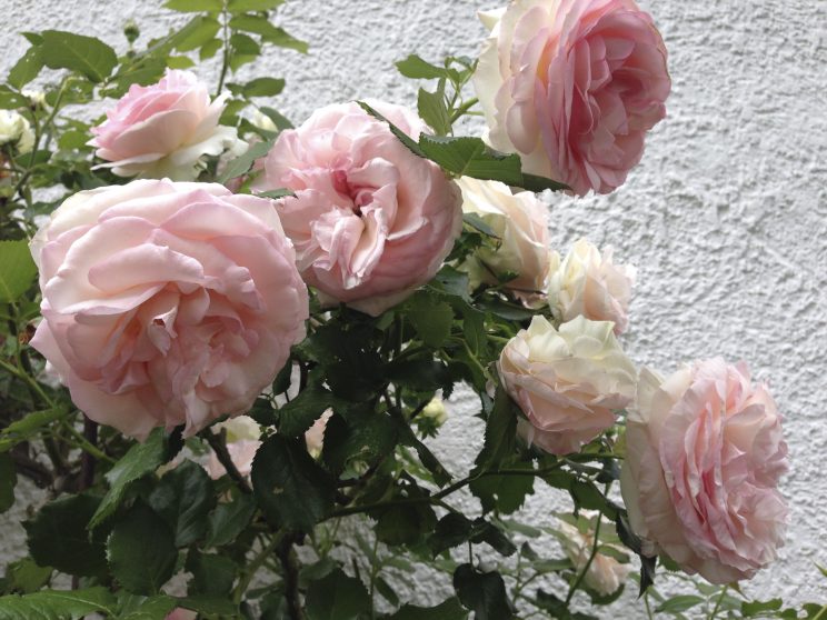 unbenannt-20160611-35