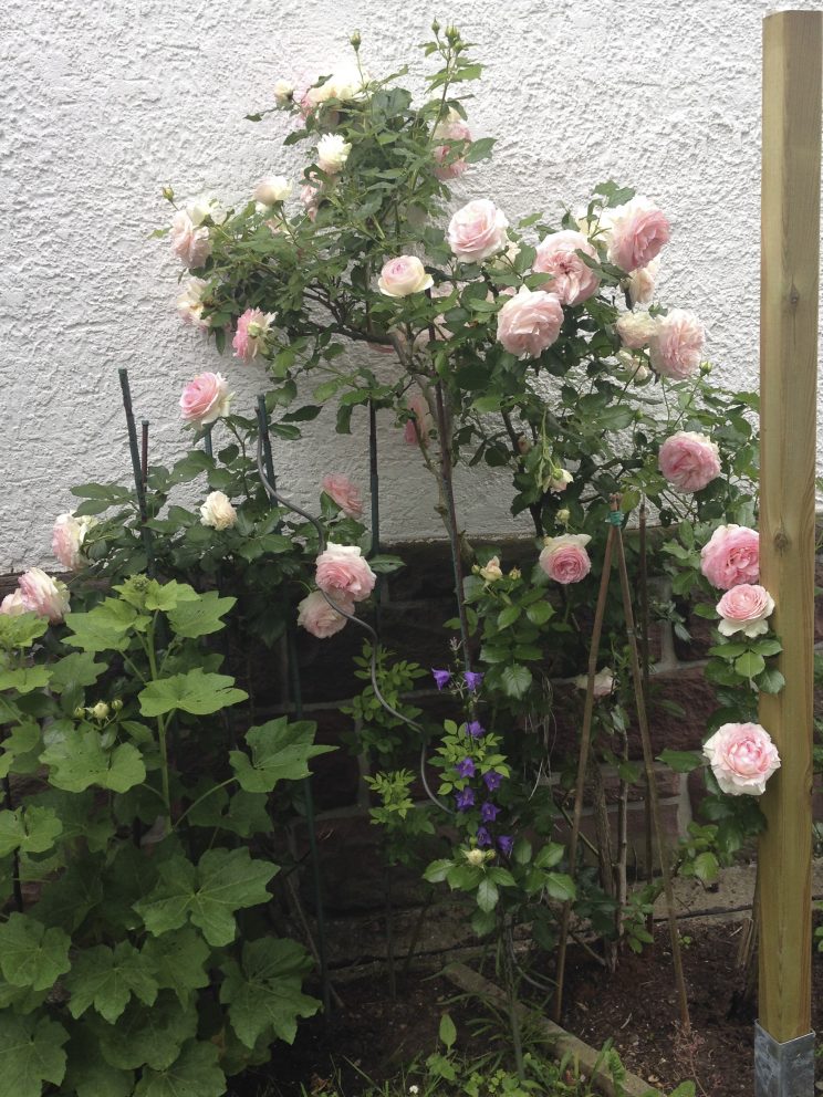 unbenannt-20160612-48