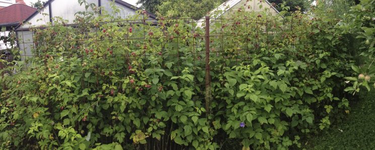 unbenannt-20160626-53